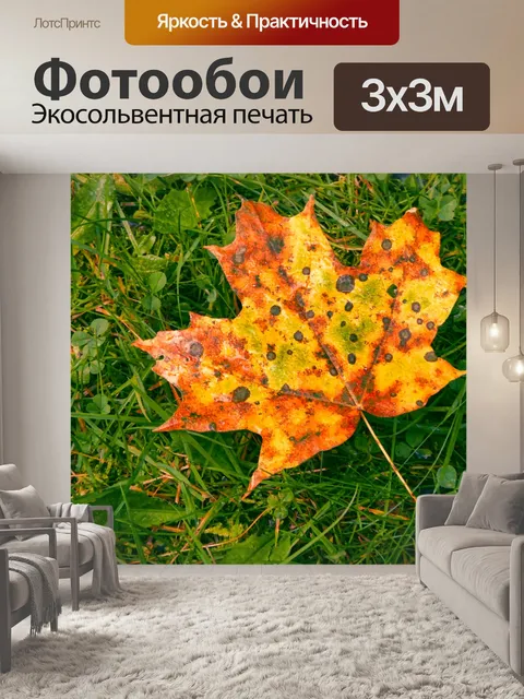 Фотообои кленовый лист