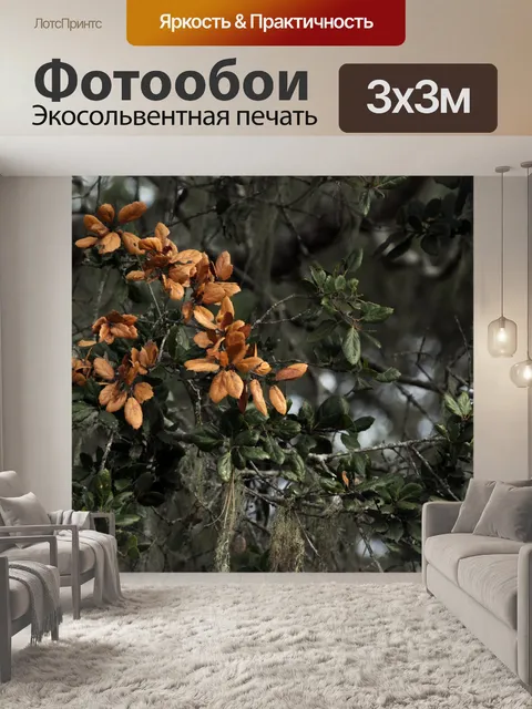 Фотообои Осенний филиал