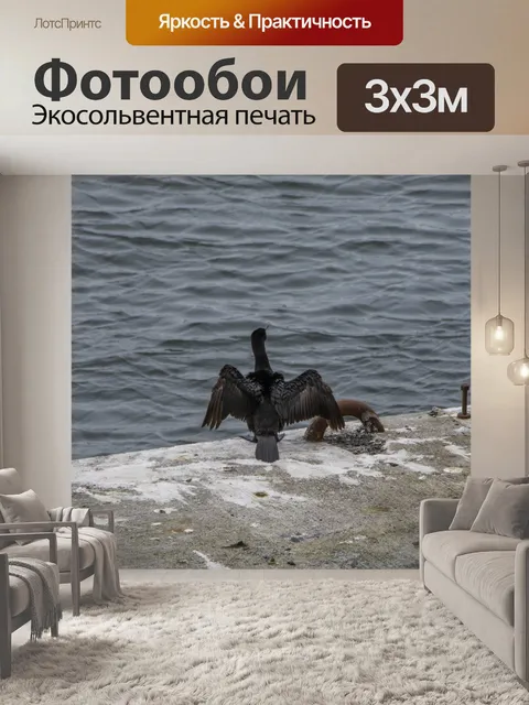 Фотообои Баклан на цементном пирсе