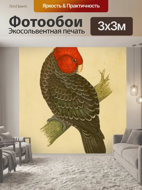 Фотообои Какаду Винтаж Птицы Искусство