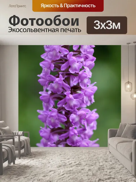 Фотообои Корень комара