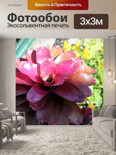 Фотообои фиолетовый цветок