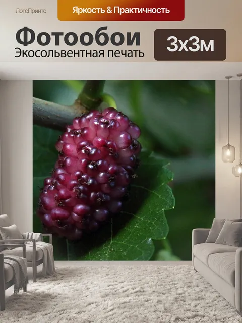 Фотообои созревающая шелковица на тутовом дереве