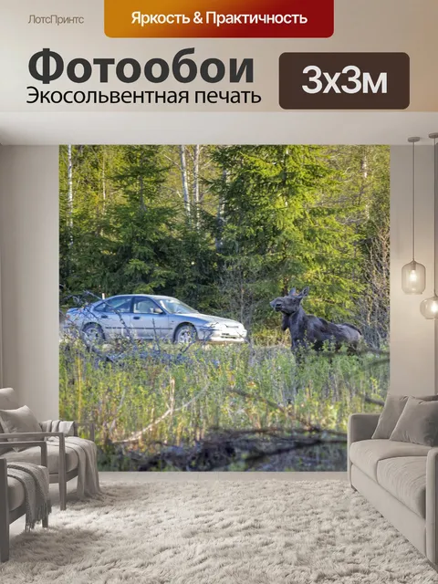 Фотообои Лось