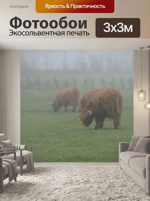 Фотообои Коров