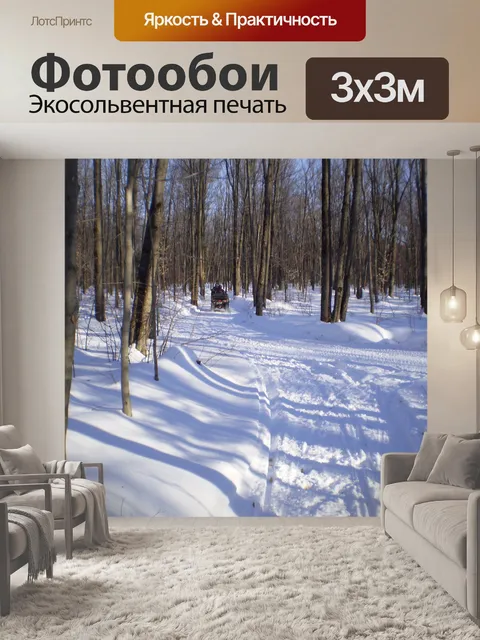 Фотообои Все вездеход в лесу