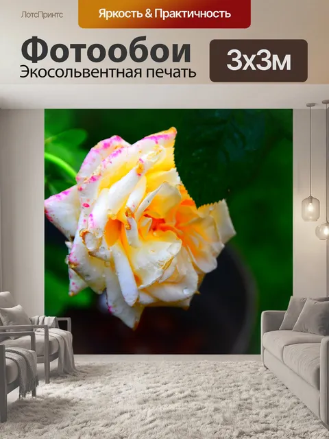 Фотообои Белый микс розовый