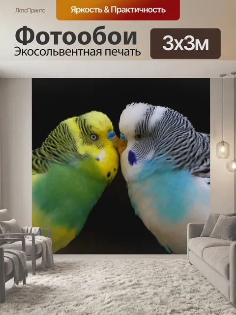 Фотообои Волнистый попугайчик