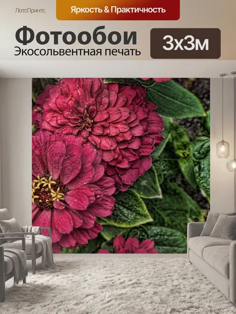 Фотообои цветы хризантемы