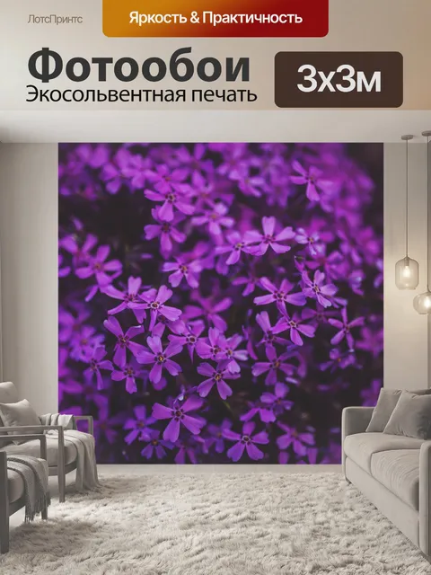 Фотообои Маленький