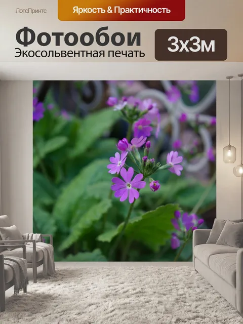 Фотообои Примулы