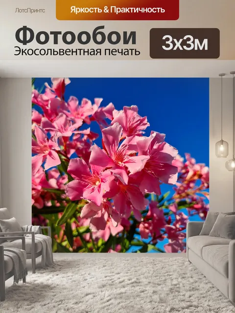 Фотообои Цветы олеандра
