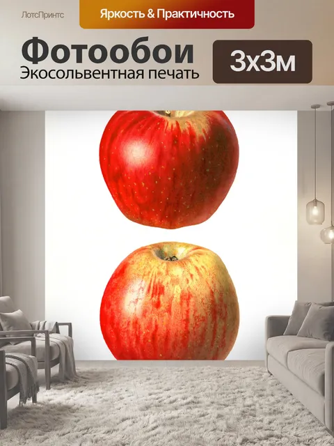 Фотообои Яблоко фрукты урожай