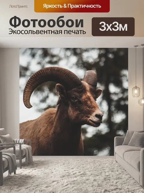 Фотообои Большой