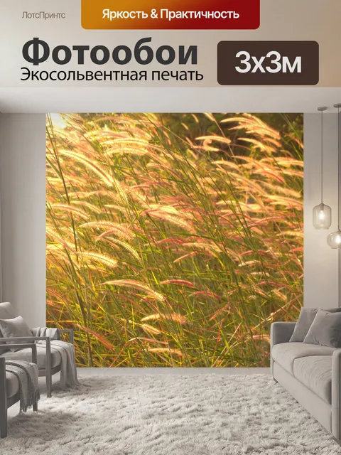 Фотообои Цветки одичалые Стоковая Фотография