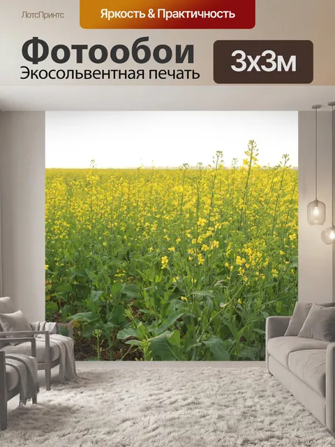 Фотообои Зерно рапса завод