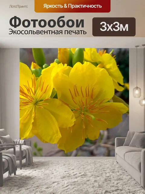 Фотообои Природа