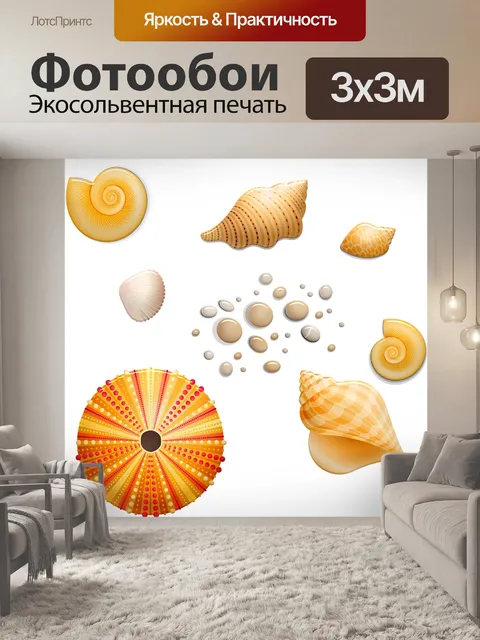 Фотообои Ракушки