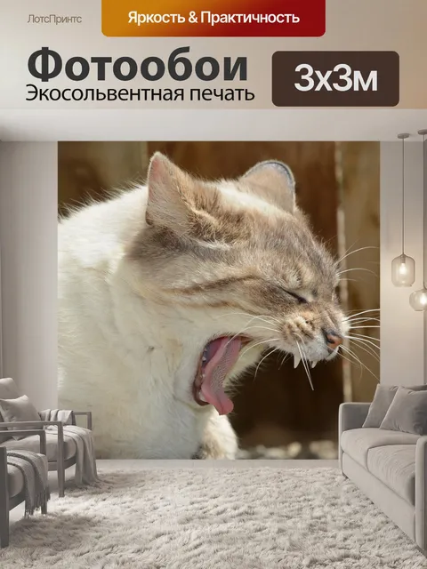 Фотообои Кошка