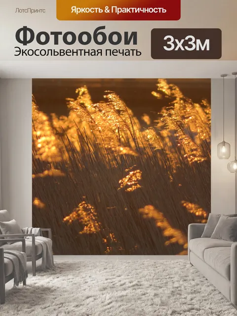 Фотообои Камыши