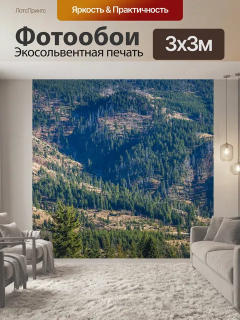 Фотообои Вырубка леса