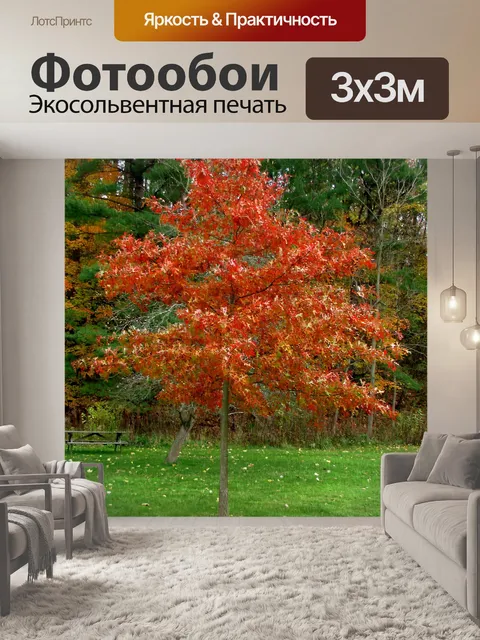 Фотообои Дерево с красными листьями