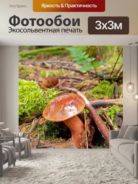 Фотообои Гриб в лесу