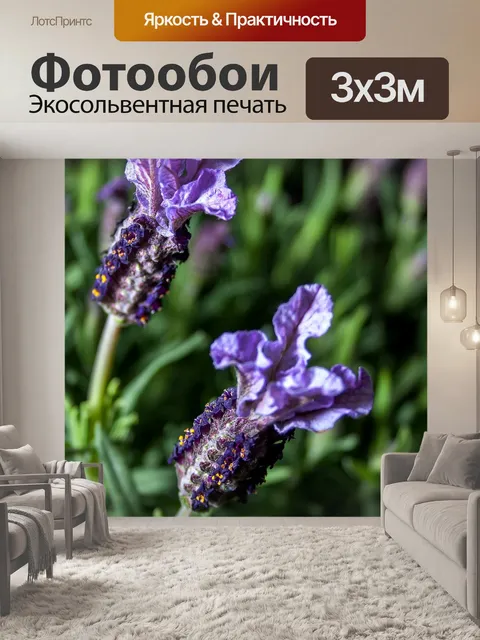 Фотообои Лаванда