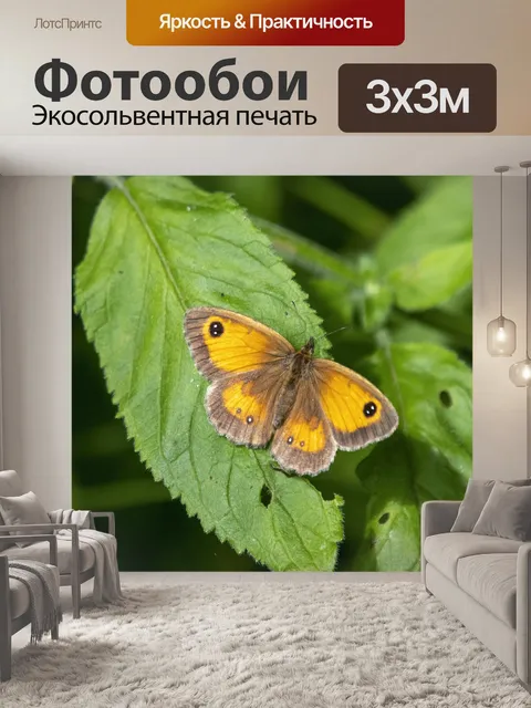 Фотообои Бабочка