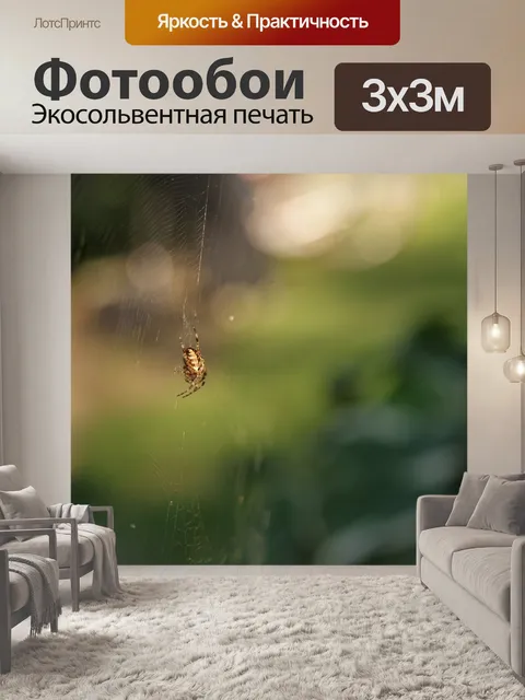 Фотообои Паук
