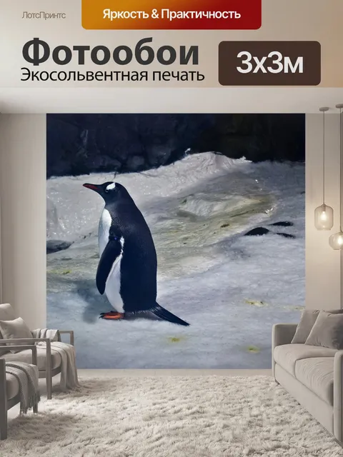 Фотообои Пингвин