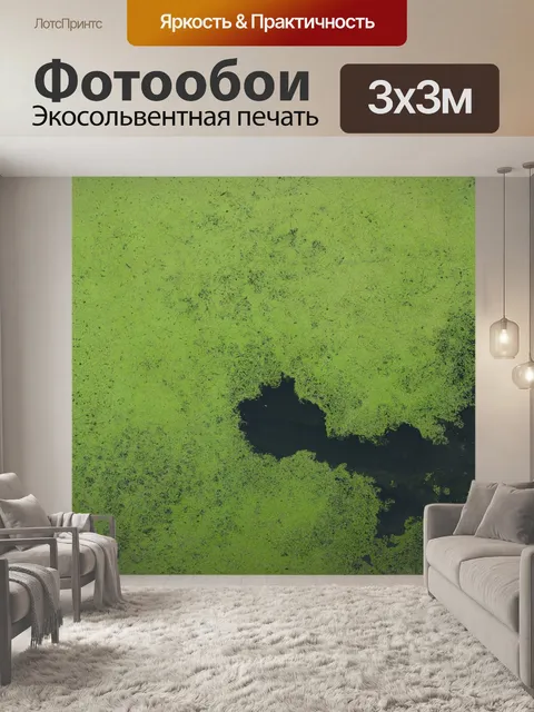 Фотообои Грин