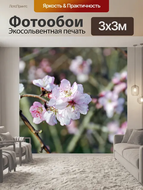 Фотообои Песко