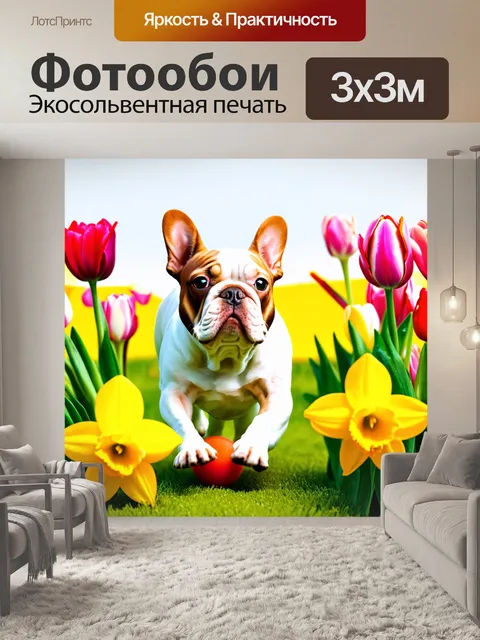 Фотообои французский бульдог охотится на свою игрушку среди весенних цветов, такие как тюльпаны и нарциссы