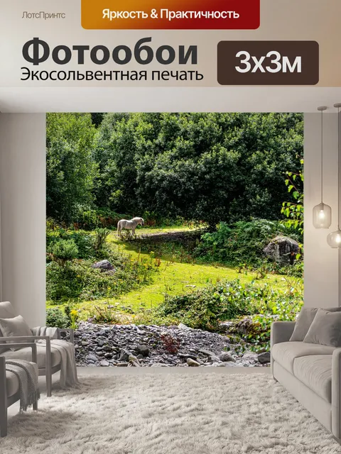Фотообои Лошадь