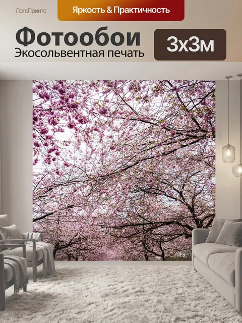 Фотообои Сакура