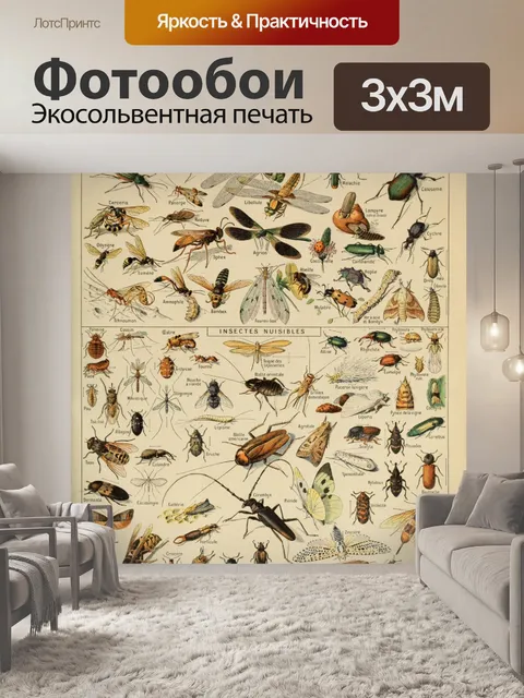 Фотообои Адольф Филипп Милло Насекомые