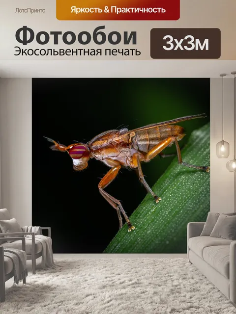 Фотообои Макро