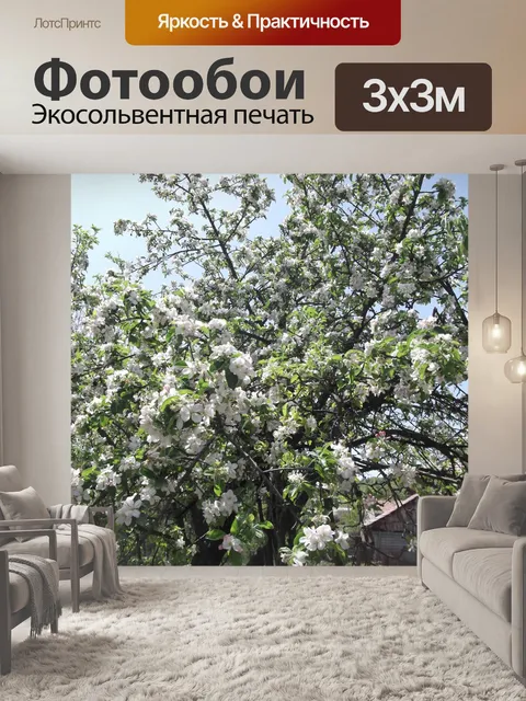 Фотообои Цветущего дерева
