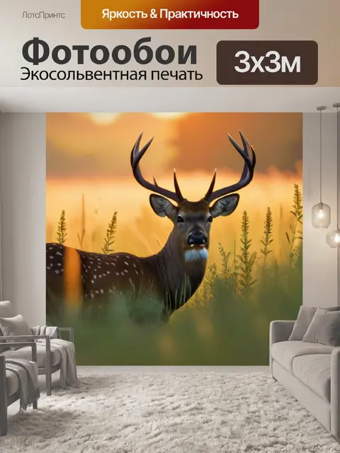 Фотообои олени на лугу на рассвете