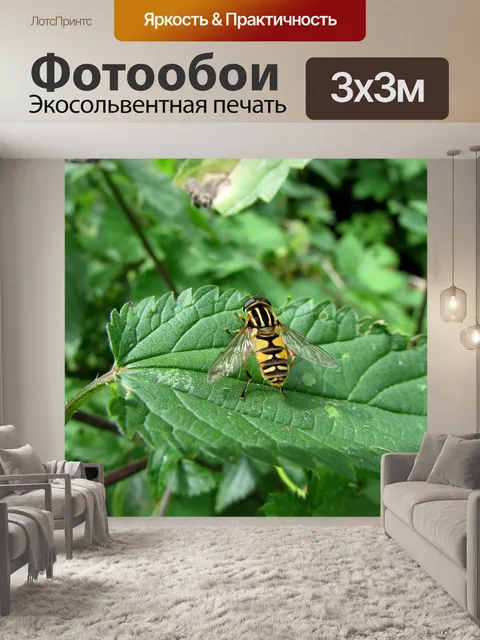 Фотообои Летать в воздухе