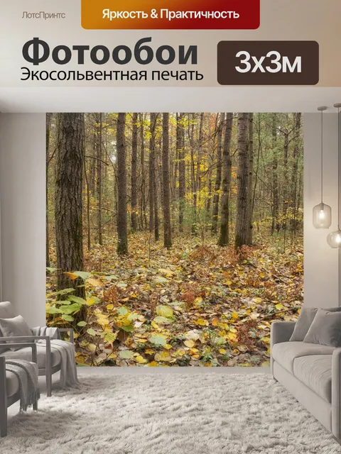 Фотообои Лесной пейзаж