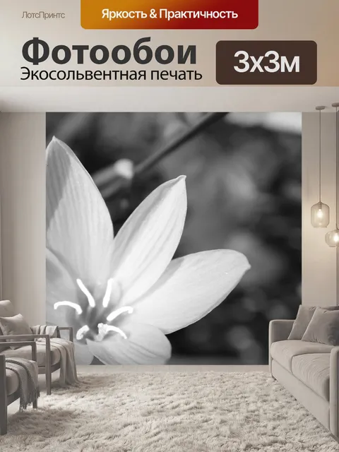 Фотообои черно-белый цветок фон