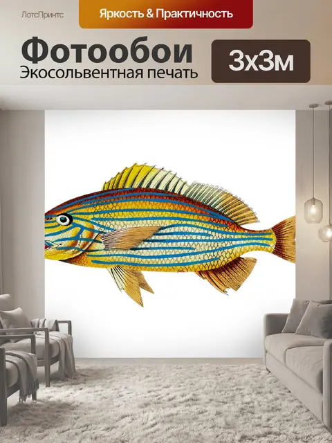 Фотообои Клипарт рыба винтаж нарисованная