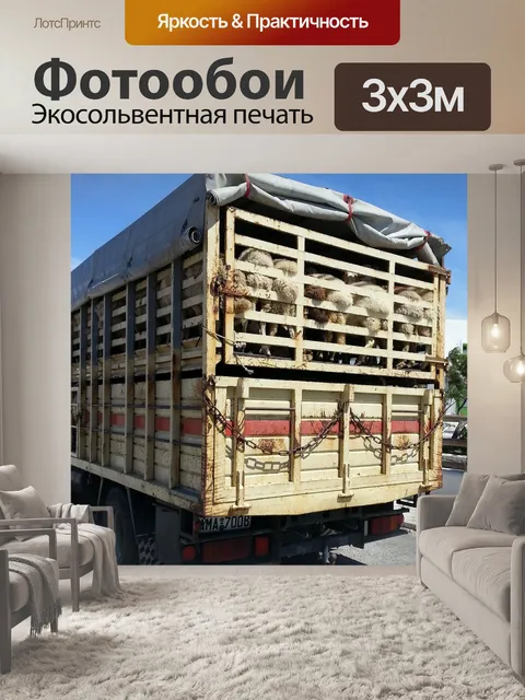 Фотообои Переполненный