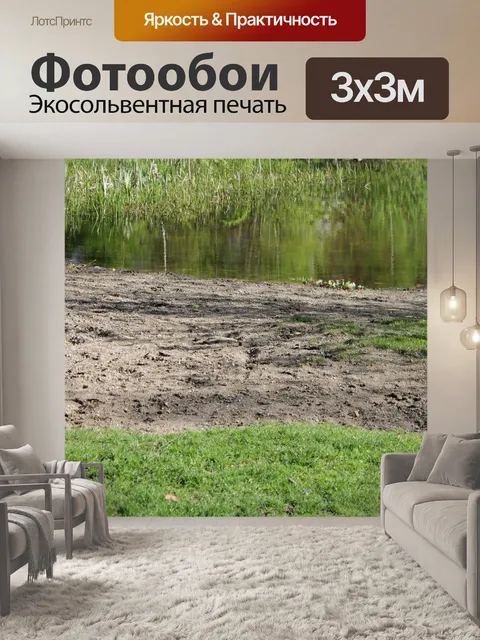 Фотообои Вода тростника банк