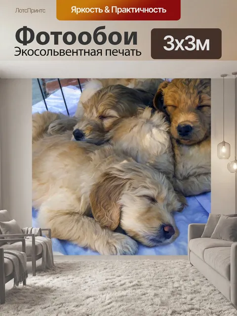 Фотообои Спящие щенки