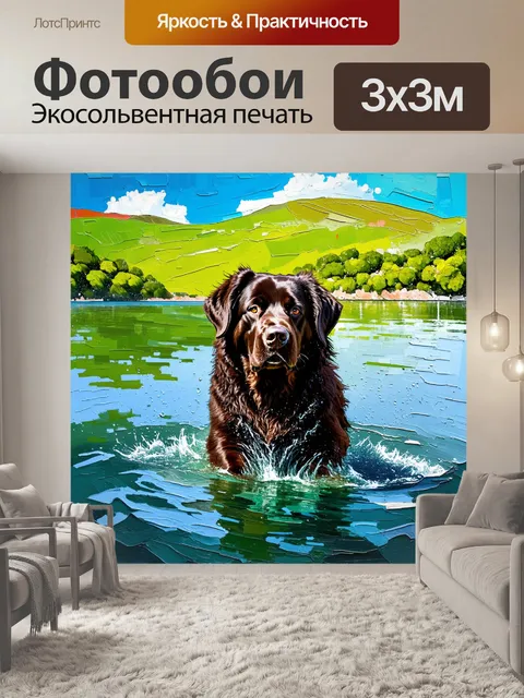 Фотообои ньюфаундленд, капли воды сверкают на его шерсти, после того, как он нырнул в плавательное озеро