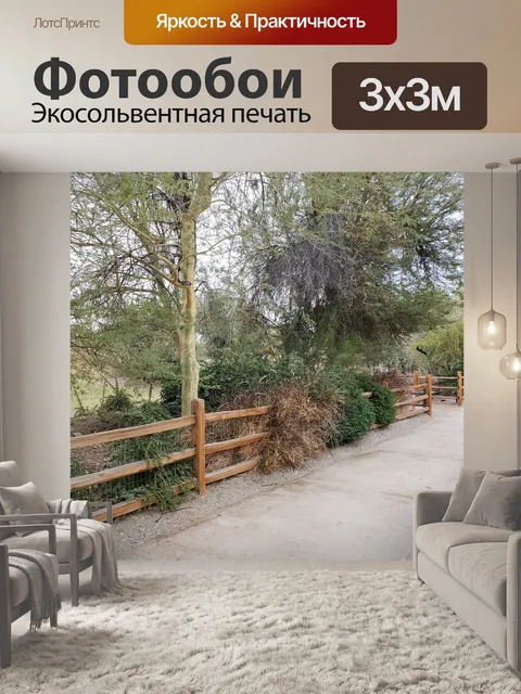 Фотообои Дорожка, обсаженная деревьями