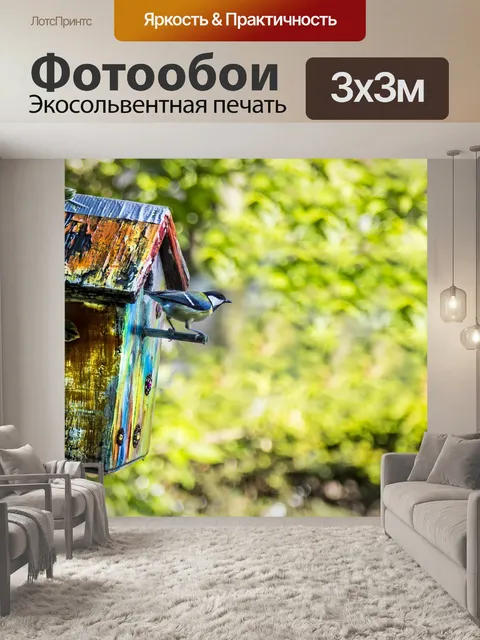 Фотообои Птица